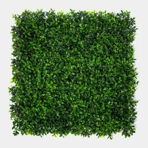 Jardin Vertical Amsterdam 50x50