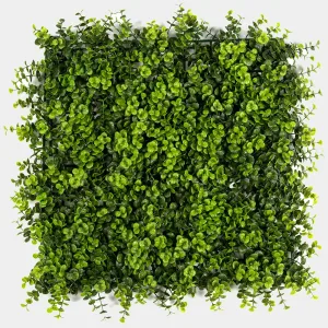 Jardin Vertical Londres 50x50