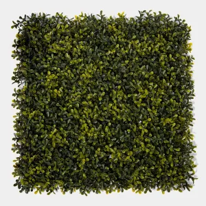 Jardin Vertical Madrid 50x50