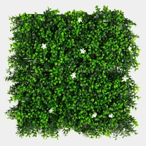 Jardin Vertical Barcelona 50x50