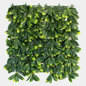 Jardin Vertical New York 50x50