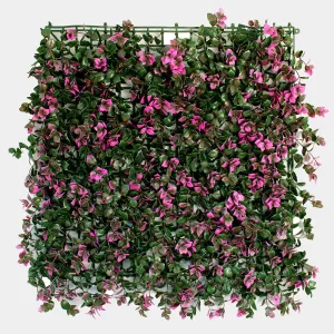 Jardin Vertical Sevilla 50x50