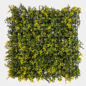 Jardin Vertical Berlín 50x50