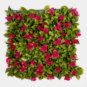 Jardin Vertical Azores 50x50