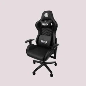 Silla Gamer Raptor